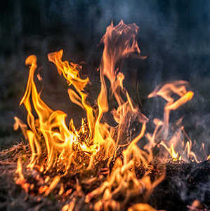 Burn Permit