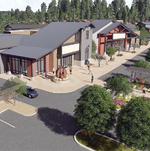 Planning Permits